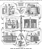 Picture 2 of 14 from Scientific American, Vol. 73, No. 6 (1895) (1895), leaf 3