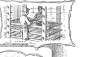 Picture 6 of 14 from Scientific American, Vol. 73, No. 8 (1895) (1895), leaf 4