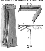 Picture 4 of 12 from Scientific American, Vol. 73, No. 10 (1895) (1895), leaf 3