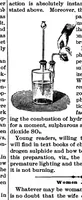 Picture 6 of 11 from Scientific American, Vol. 73, No. 12 (1895) (1895), leaf 5