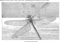 An illustration from Scientific American, Vol. 73, No. 19 (1895) (1895)