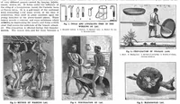 Picture 6 of 16 from Scientific American, Vol. 73, No. 20 (1895) (1895), leaf 4