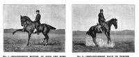 Picture 4 of 19 from Scientific American, Vol. 73, No. 24 (1895) (1895), leaf 4