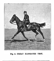 Picture 6 of 19 from Scientific American, Vol. 73, No. 24 (1895) (1895), leaf 4
