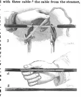 An illustration from Scientific American, Vol. 73, No. 26 (1895) (1895)