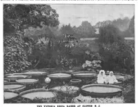 Picture 9 of 18 from Scientific American, Vol. 74, No. 3 (1896) (1896), leaf 10