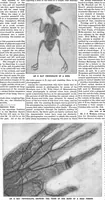 An illustration from Scientific American, Vol. 74, No. 10 (1896) (1896)
