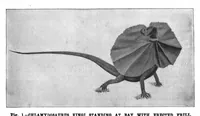 An illustration from Scientific American, Vol. 74, No. 14 (1896) (1896)