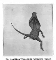 Picture 10 of 19 from Scientific American, Vol. 74, No. 14 (1896) (1896), leaf 8