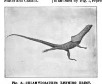 Picture 11 of 19 from Scientific American, Vol. 74, No. 14 (1896) (1896), leaf 8