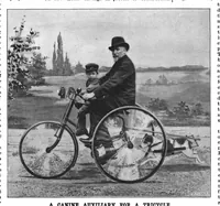 An illustration from Scientific American, Vol. 74, No. 20 (1896) (1896)