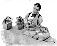 An illustration from Scientific American, Vol. 74, No. 21 (1896) (1896)