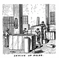 Picture 7 of 17 from Scientific American, Vol. 75, No. 3 (1896) (1896), leaf 4