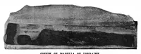Picture 12 of 18 from Scientific American, Vol. 75, No. 7 (1896) (1896), leaf 10