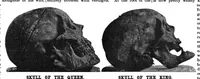Picture 13 of 18 from Scientific American, Vol. 75, No. 7 (1896) (1896), leaf 10