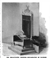 Picture 9 of 15 from Scientific American, Vol. 75, No. 21 (1896) (1896), leaf 10