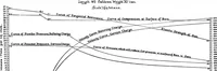 Picture 11 of 14 from Scientific American, Vol. 75, No. 22 (1896) (1896), leaf 8