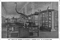 An illustration from Scientific American, Vol. 75, No. 25 (1896) (1896)