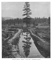 An illustration from Scientific American, Vol. 76, No. 4 (1897) (1897)