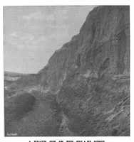 Picture 7 of 17 from Scientific American, Vol. 76, No. 4 (1897) (1897), leaf 5