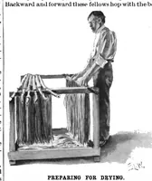 Picture 3 of 19 from Scientific American, Vol. 76, No. 22 (1897) (1897), leaf 3