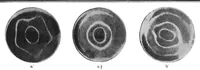 An illustration from Scientific American, Vol. 76, No. 22 (1897) (1897)