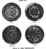 Picture 12 of 19 from Scientific American, Vol. 76, No. 22 (1897) (1897), leaf 9
