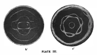 Picture 13 of 19 from Scientific American, Vol. 76, No. 22 (1897) (1897), leaf 9