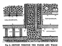 Picture 13 of 21 from Scientific American, Vol. 77, No. 2 (1897) (1897), leaf 8