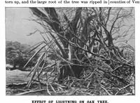 Picture 7 of 18 from Scientific American, Vol. 77, No. 3 (1897) (1897), leaf 4
