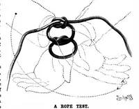 An illustration from Scientific American, Vol. 77, No. 9 (1897) (1897)