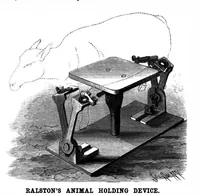 Picture 2 of 20 from Scientific American, Vol. 77, No. 13 (1897) (1897), leaf 3