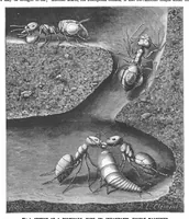 An illustration from Scientific American, Vol. 77, No. 16 (1897) (1897)