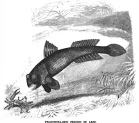 Picture 10 of 16 from Scientific American, Vol. 78, No. 2 (1898) (1898), leaf 8