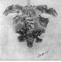 Picture 10 of 16 from Scientific American, Vol. 78, No. 9 (1898) (1898), leaf 6