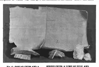 Picture 8 of 14 from Scientific American, Vol. 78, No. 18 (1898) (1898), leaf 4