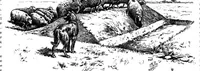 Picture 10 of 11 from Scientific American, Vol. 78, No. 19 (1898) (1898), leaf 8