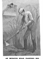 Picture 6 of 10 from Scientific American, Vol. 78, No. 23 (1898) (1898), leaf 5