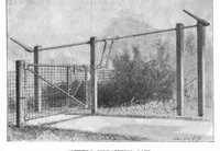 An illustration from Scientific American, Vol. 79, No. 2 (1898) (1898)