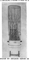 Picture 10 of 14 from Scientific American, Vol. 79, No. 23 (1898) (1898), leaf 10