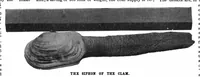 An illustration from Scientific American, Vol. 79, No. 24 (1898) (1898)