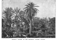 Picture 6 of 17 from Scientific American, Vol. 80, No. 3 (1899) (1899), leaf 7