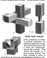 Picture 2 of 23 from Scientific American, Vol. 80, No. 13 (1899) (1899), leaf 3