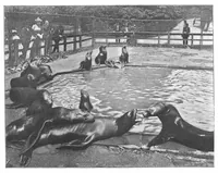 Picture 15 of 24 from Scientific American, Vol. 80, No. 17 (1899) (1899), leaf 9