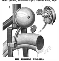 Picture 5 of 17 from Scientific American, Vol. 81, No. 1 (1899) (1899), leaf 4