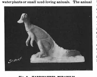 Picture 5 of 19 from Scientific American, Vol. 81, No. 2 (1899) (1899), leaf 4