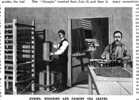 Picture 9 of 16 from Scientific American, Vol. 81, No. 8 (1899) (1899), leaf 8