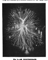 Picture 2 of 20 from Scientific American, Vol. 81, No. 15 (1899) (1899), leaf 3