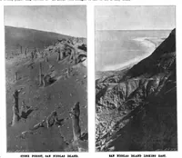 Picture 10 of 20 from Scientific American, Vol. 81, No. 15 (1899) (1899), leaf 8