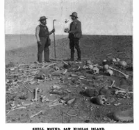 Picture 13 of 20 from Scientific American, Vol. 81, No. 15 (1899) (1899), leaf 9